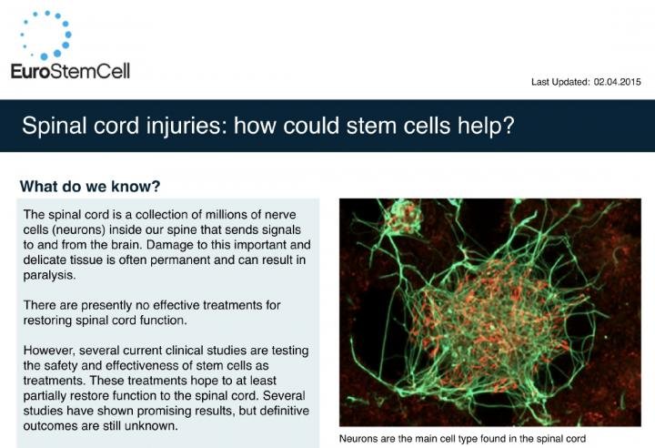 What Is The Contribution Of Stem Cell Research To The Understanding Of Spinal Cord Injuries In Malaysia?