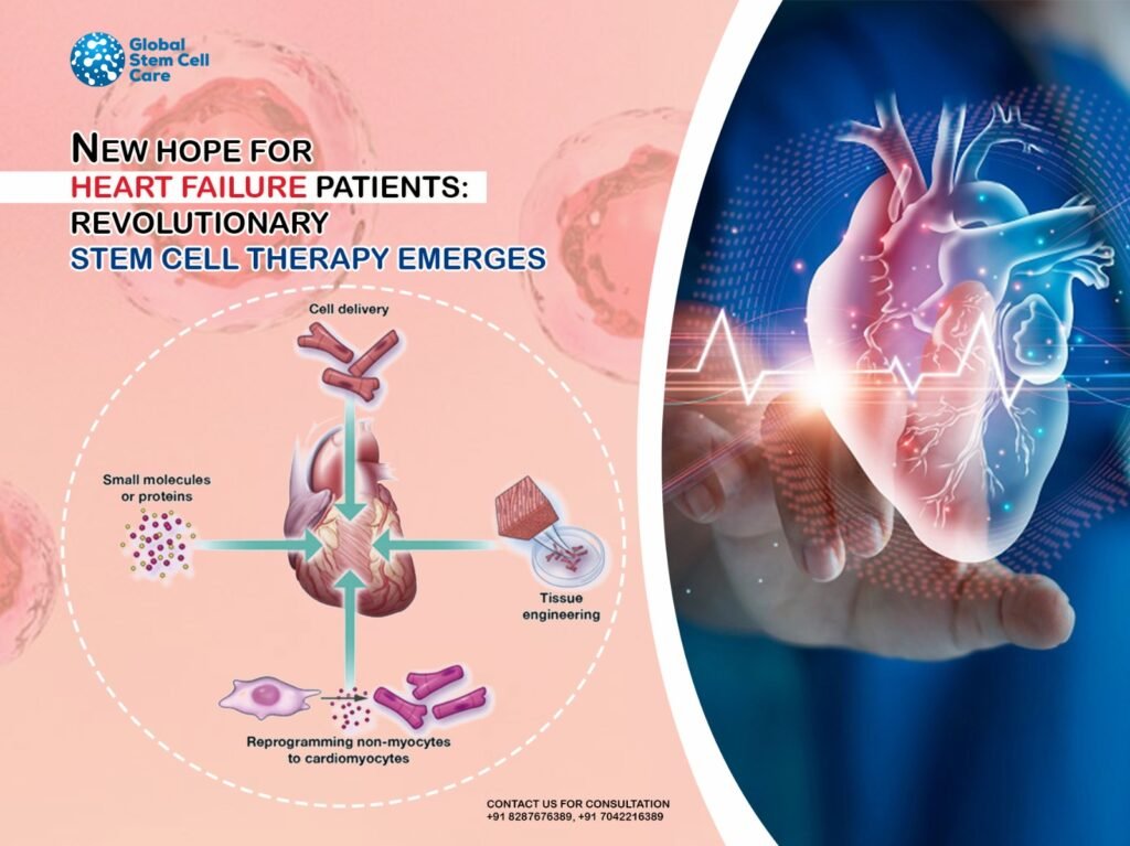 Can Stem Cell Therapies Help With Heart And Cardiovascular Diseases In Malaysia?